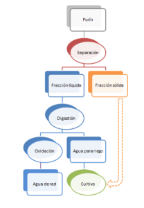 Lee más sobre el artículo Aprobado el proyecto del Grupo Cooperativo para un Uso Eficiente, Sostenible y Alternativo de Purines (GC-UESAP)