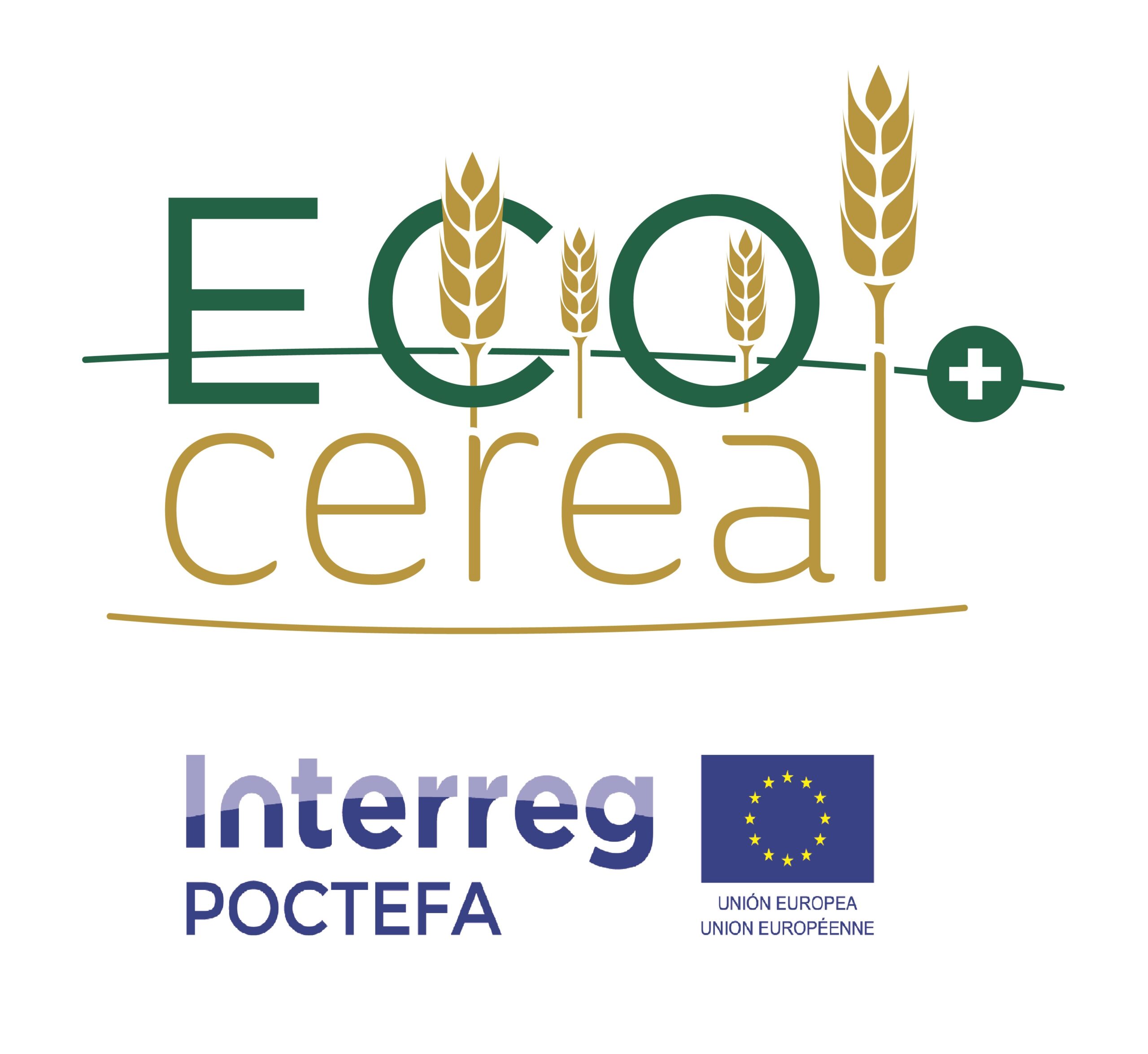 En este momento estás viendo Puesta en marcha del proyecto ECOCEREAL+ para el apoyo al sector del cereal ecológico