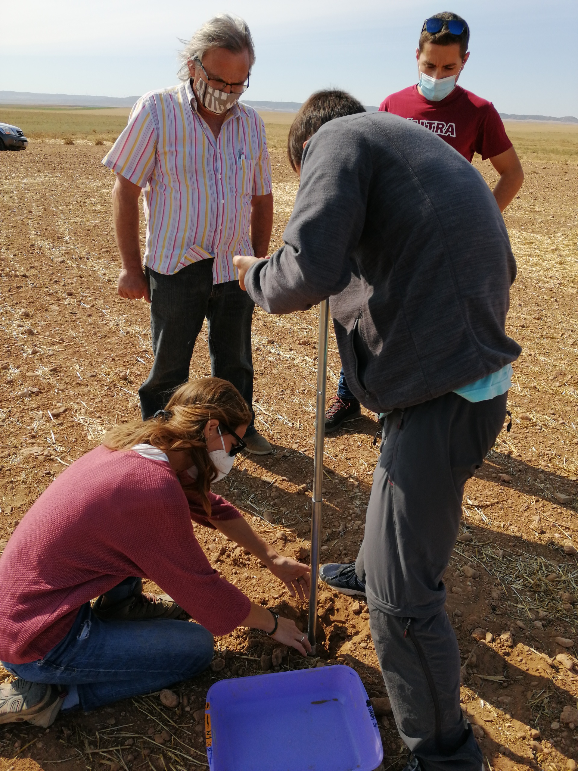 En este momento estás viendo Un proyecto dará vida a las parcelas en barbecho para favorecer a los polinizadores y a la fauna apícola