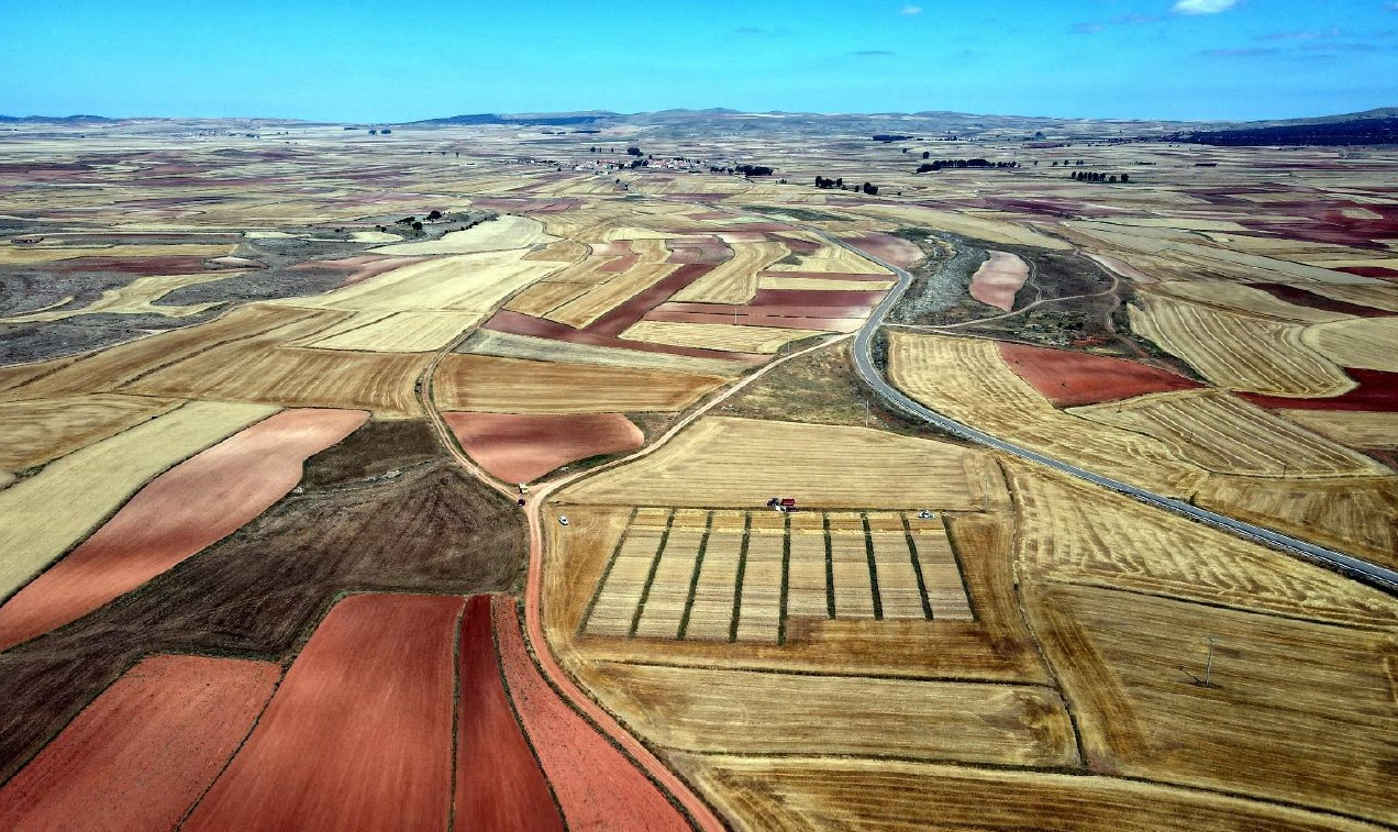 En este momento estás viendo ¿Qué sembrar en Aragón la próxima campaña? Red ARAX presenta su dossier de cereal de invierno 2020/2021