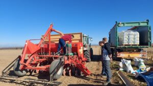 Lee más sobre el artículo El proyecto ECOPEAS avanza con la siembra de diferentes variedades de guisante